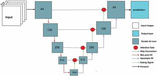 Figure A3. Schematic view of our Attention U-net network for multi-date images input. Inputs are tensors from four time steps (time 1 to time 4), each of size t time steps × i width × j height × n bands. The model operates on a sequence of four input tensors, each composed of n bands. The network architecture automatically detect the useful features of the multiple input bands and combines this information for the following layers to predict the Land-use following deforestation. Note that this model setting is also useful to handle scenarios where either one of the input images are affected by clouds.