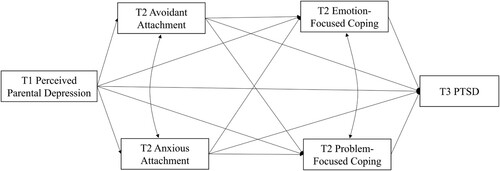 Figure 1. Hypothesized multiple mediation model.Note. PTSD = post-traumatic stress disorder. Controlling for gender, age, trauma exposure and PTSD at T1.