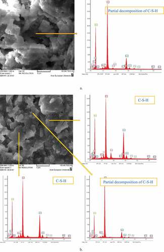 Figure 16. SEM micrographs accompanied by EDX analysis of pastes after being immersed in 5% HNO3 solution for 28 days. a) the reference paset, b) the paste containing 30% Micro-NP, c) the paset containing 3% Nano-NP