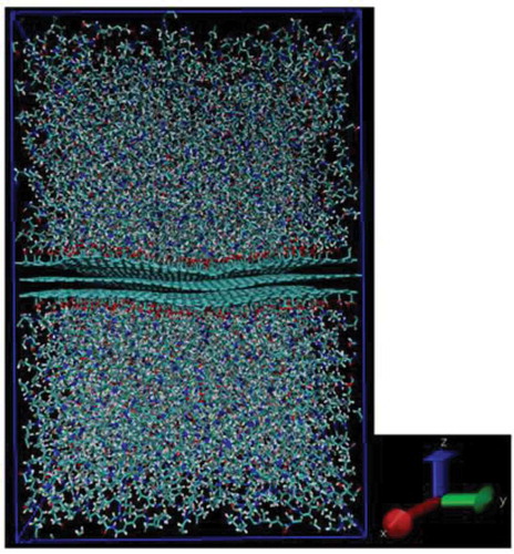 Figure 9. Snapshot of interface model between PA6 and carbon fiber model with COOH group