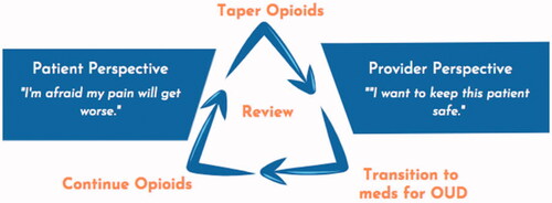Figure 2. Opioid Management Options. Adapted from the authors’ public domain document “A Guide for Primary Care Providers”, San Francisco Department of Public Health, accessed at www.ciaosf.org on 30 November 2021.