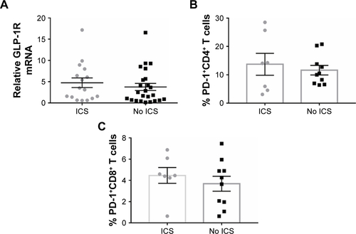 Figure S1 GLP-1R and PD-1 expression in PBMCs of COPD patients based on ICS use.Notes: (A) qRT-PCR analysis of GLP-1R mRNA expression in PBMCs of COPD patients based on ICS use. Data are expressed as mean ± SEM. (B) Frequency of CD4+ PD-1+ T cells and (C) frequency of CD8+ PD-1+ T cells in COPD patients based on ICS use. Data are expressed as mean ± SEM. ICS, COPD patients using ICS as a current maintenance drug for at least 3 months; no ICS, COPD patients using no ICS as a current maintenance drug during the past 3 months.Abbreviations: GLP-1R, glucagon-like peptide-1 receptor; ICS, inhaled corticosteroid; PBMC, peripheral blood mononuclear cell; PD-1, programmed cell death protein 1; qRT-PCR, quantitative real-time PCR; SEM, standard error of the mean.