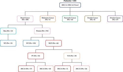 Figure 1 Flow chart showing an overview of the study. Patients with breast, melanoma, pancreatic, prostate or ovarian tumors tested for BRCA1 and BRCA2 gene mutation.