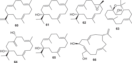 Figure 5. Structures of compounds 60–66.