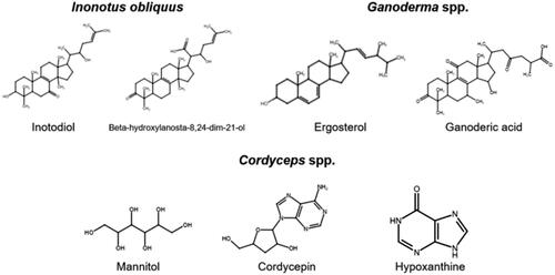 Figure 4. Compounds associated with various functional mushrooms.