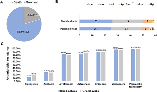 Figure 2 Survival and microbiological results of 59 patients with CRE BSI. (A). The 30-day mortality of patients with CRE BSI. (B). The distribution of CRE strains (61 strains) isolated from the first perianal swab samples and blood samples in 59 patients.