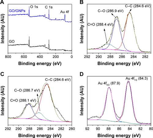 Figure S5 XPS spectra of GO and GO/GNPs.Notes: (A) Full XPS scan spectra of GO and GO/GNPs. (B) C 1s spectra of GO. (C) C 1s spectra of GO/GNPs. (D) Au 4f spectra of GO/GNPs.Abbreviations: GNPs, gold nanoparticles; GO, graphene oxide; XPS, X-ray photoelectron spectroscopy.