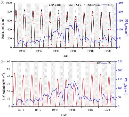Fig. 8. Time-series plots of surface (a) solar radiation (black lines for simulations and red dots for observations), and (b) UV radiation observed at Gulou station along with simulated PM2.5 concentration in EXP_CTRL (blue lines) during 9–20 October. Night-time hours are marked with black shade.