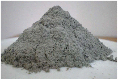 Figure 10. Photograph of fly ash.