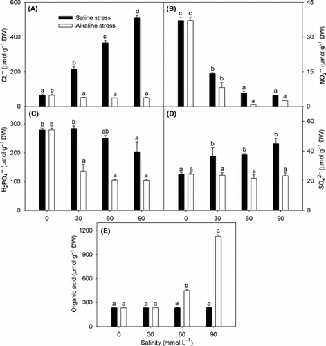 Figure 6 Effects of saline and alkaline stress on (A) Cl− , (B) NO3–, (C) H2PO4−, (D) SO42− and (E) organic acid in Lathyrus quinquenervius shoots. The 8-week-old L. quinquenervius seedlings were treated with saline stress (NaCl : Na2SO4 = 9:1; pH 6.44–6.65) and alkaline stress (NaHCO3 : Na2CO3 = 9:1; pH 8.71–8.89) for 10 days. In each column, the data markers identified with the same letters are not significantly different (P < 0.05) according to a least significant difference test. The error bars represent ± SE (n = 4) of four replicates. DW, dry weight.