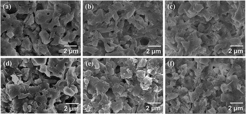 Figure 6. FE-SEM cross-sectional images of (a) HA, (b) 90 HA, (c) 70 HA, (d) 50 HA, (e) 30 HA, and (f) TCP sintered at 800°C for 2 h.