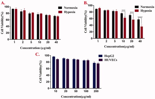 Figure 7. The cell viabilities of free Cur (A) and AAAF@Cur micelles (B) at 24 h in HepG2 cells under hypoxia and normoxia. (C) Cytotoxicity analysis of AAAF after incubation for 24 h on HepG2 and HUVECs. Data are shown as the mean ± SD (n = 3), *p < .05, **p < .01, and ***p < .001.