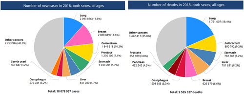 Figure 1. The number of new cases and deaths reported worldwide in 2018 including both sexes and all ages.