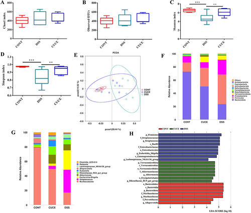 Figure 4 Cucurbitacin E improves microbiota composition in DSS-treated mice. (A) Chao1 index; (B) Observed OTUs; (C) Shannon index; (D) Simpson index; (E) PCoA plot of the microbiota based on a weight UniFrac metric. Relative abundance of predominant bacteria at the phylum (F) and genus (G). (H) Bacterial biomarkers in each treatment group (LDA score value > 4 or < −4). Data are presented as mean ± SEM. **P<0.01, ***P<0.001, n=7.