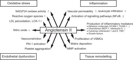 Figure 1 Atherosclerotic plaque formation in relationship to Ang II. Reprinted from the Lancet, 369, Schmeider RE, Hilgers KF, Schlaich MP. Renin-angiotensin system and cardiovascular risk, 1208–1219.Citation109 Copyright © 2007, with permission from Elsevier.