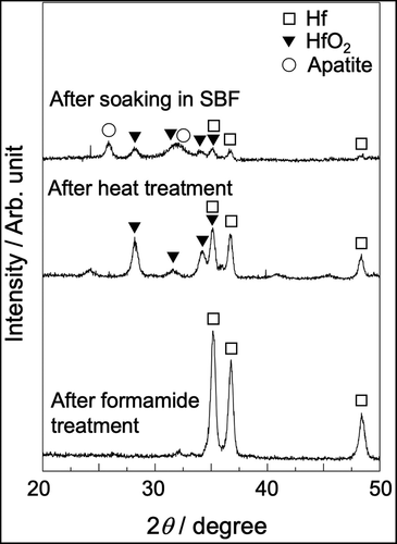 Figure 8. TF-XRD patterns of Hf substrates after soaking in NH4F solution and heat treatment, followed by soaking in SBF for 7 days.