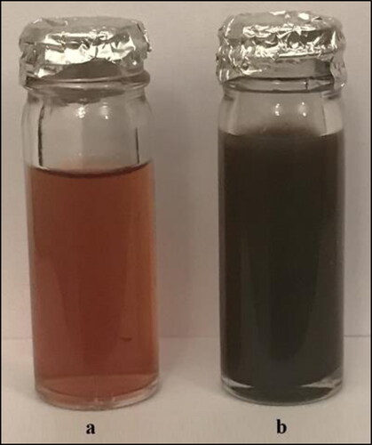 Figure 1. Representative vials containing the aqueous fungal biomass A. alternata PNU71 and AgNO3 solution at zero time of the reaction (a) and after 3 days of reaction (b). This isolate biosynthesiszes AgNPs (dark brown colour).