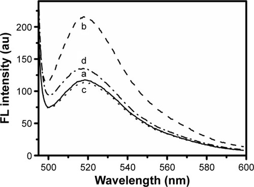 Figure 5 Fluorescence spectra of different reaction systems.Notes: c-nGO/Pep-FITC (100 nM) (a); (a) + MMP2 (1.4 nM) (b); (a) + 1,10-phenanthroline (10 μM) (c), and (a) +1,10-phenanthroline (10 μM) + MMP2 (1.4 nM) (d).Abbreviations: c-nGO, carboxylated nano-graphene oxide; Pep-FITC, fluorescein isothiocyanate-labeled peptide; MMP2, matrix metalloproteinase 2; FL, fluorescence; au, arbitrary unit.