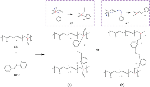 Figure 4. Proposed possible mechanism for the crosslinking reaction between CR and DPD. (a) N2 reaction; (b) N2, reaction.