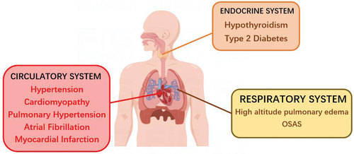 Figure 2. High altitude hypoxia-related diseases.