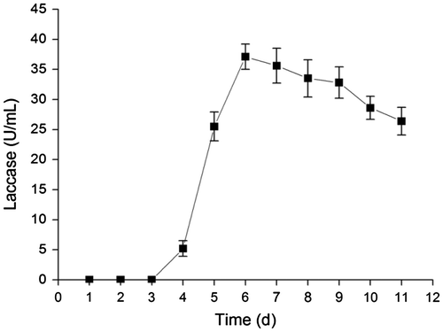 Fig. 1. The time course of laccase secretion by Abortiporus biennis J2 in basal laccase production medium at 30 °C on a rotary shaker at 150 rpm.