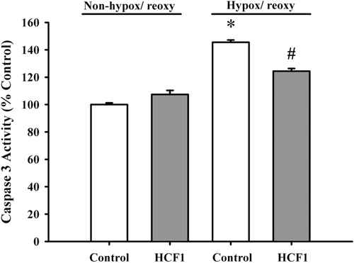 Figure 7.  The effect of HCF1 on hypoxia/reoxygenation (hypox/reoxy)-induced caspase 3 activity in H9c2 cells. H9c2 cells were incubated with HCF1 for 4 h. Cells were then subjected to hypox/reoxy challenge, and the caspase 3 was measured thereafter. Data were expressed in percent control with respect to the non-hypox/reoxy control [control caspase 3 activity (arbitrary unit) = 12.44 ± 0.11]. Values given are mean ± SEM, with n = 3. *Significantly different from the non-hypox/reoxy control group; #Significantly different from HCF1-pretreated and non-hypox/reoxy group.