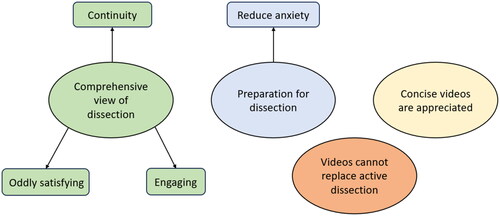 Figure 10. Thematic map showing themes and sub-themes following analysis of focus group data. These themes relate to time-lapse videos 2-4 and reflect feedback from intercalating medical students with extensive experience of dissection.