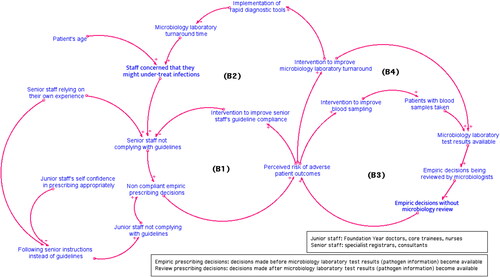 Figure 2. Causal loop diagram of doctors’ decision-making processes.
