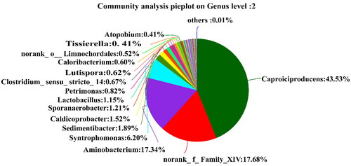 Figure 6. Pie chart of genus community distribution of sample 2 (old pit mud).