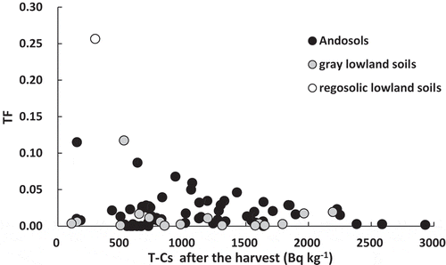 Figure 4. Relationship between T-Cs concentration in the soil after the harvest and TF in 2012.