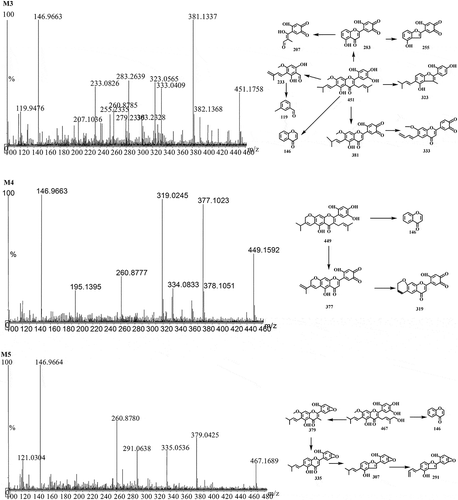 Figure 4. (Continued).