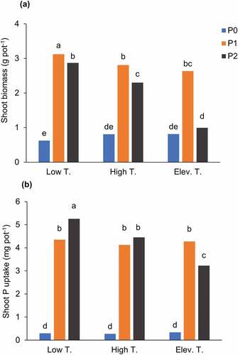 Figure 1. Rice shoot biomass (a) and shoot P uptake (b) at around cumulative growing degree days of 672°C after transplanting as affected by different temperatures (Low T, high T, Elev. T) and P2O5 concentrations in the slurry (0%, 2.3%, and 4.4% for P0, P1, and P2, respectively). Data are shown as mean values of 0 h and 2 h dipping durations. Different letters indicate that mean values were significantly different among the treatments at 5% according to Tukey’s HSD test. Day/night temperature; 28°/20°C in Low T, 33°/25°C in High T, 36°/27°C in Elev. T.