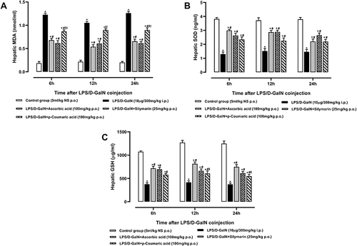 Figure 7 Hepatic (A) Malondialdehyde, (B) Superoxide Dismutase and (C) Reduced Glutathione levels of normal control, LPS/D-GalN and LPS/D-GalN + treatment groups. The values are mean ± SEM (n=6). Statistical analysis was done one-way analysis of variance (ANOVA) followed by Bonferroni post hoc test for all groups in respective hours. The results are considered significant *If p < 0.05. *Indicates p < 0.05 vs normal control, #Indicates p < 0.05 vs LPS/D-GalN, $Indicates p < 0.05 vs LPS/D-GalN + Ascorbic acid, !Indicates p < 0.05 vs LPS/D-GalN + Silymarin (25mg/kg).