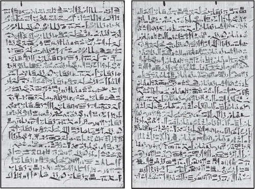 Figure 5. The Edwin Smith Papyrus (copied c. 1600 BC). Column XII and XIII including three cases on humeral fractures. Reprinted from Allen (Citation2005) 81 with permission from The New York Academy of Medicine Library.