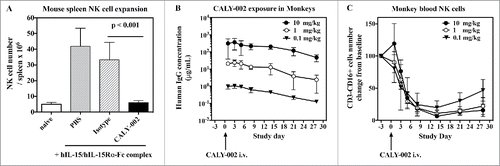 Figure 2. Pharmacodynamic inhibition of IL-15 by in vivo in mice and monkeys. (A) NK cell expansion was induced in groups of 5 mice by injections of hIL-15 mixed with hIL-15Rα-Fc at Day 1, 2 and 3. PBS (gray bar), CALY-002 (black bar) or control isotype antibody (dashed bar) were injected 20 minutes before the first injection of hIL-15/hIL-15Rα-Fc. Animals were killed at Day 4 and number of NK cells present in individual spleens were determined. Naive mice were injected with saline alone (no hIL-15/hIL-15Rα-Fc, white bar). Data are plotted as mean ± SD. Statistical analysis: Student's t test. (B) Serum levels of human IgG in cynomolgus monkeys receiving a single i.v. dose of 10 mg/kg (closed triangles), 1 mg/kg (open circles) or 0.1 mg/kg (closed circles) CALY-002. Results are expressed as mean ± SD for 3 to 4 animals per group. (C) CALY-002 reduces circulating NK cell numbers in cynomolgus monkeys. Following a single dose injection of 10 mg/kg (closed triangles), 1 mg/kg (open circles) or 0.1 mg/kg (closed circles) CALY-002, animals underwent a 4-wk observation period and NK cell counts were determined by flow cytometry at Day −3 (pre-dose), and 1, 3, 5, 8, 14, 21 and 28 d after treatment. Data are plotted as mean absolute number of blood CD3−CD16+ cells NK cells ± SD for 3 to 4 animals per group.