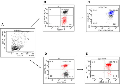 Figure 1 Flow cytometric analysis of tumor CD4+PD-1+ and CD8+PD-1+ T cells in ovarian cancer patients. Figure 1 shows representative data from OC patients, illustrating the method for identification of CD4+PD-1+ and CD8+PD-1+ T cells in the tumor. An acquisition gate was established based on FSC and SSC that included mononuclear cells. Population P1 was drawn around the lymphocytes (A). Next, the P1 gated events were analyzed for CD3/CD4 staining (B) and CD3/CD8 staining (D). The final dot plots of CD4+ and CD8+ with PD-1 expression were established by combined gating of events using population P1 and region Q2 or Q2-1, respectively. Isotype-matched mAbs were used to verify the staining specificity and as a guide for setting the markers to delineate positive and negative populations. The number in the upper right quadrant on the dot plot (C) represents the percentage of CD4+PD-1+ T cells and that on the dot plot (E) shows the percentage of CD8+PD-1+ T cells.