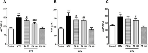 Figure 1 Effect of ferulic acid (FA) on markers of liver dysfunction in methotrexate (MTX)-induced hepatotoxicity in mice. Values are means ± SD (n = 7). Data were analyzed by one-way ANOVA followed by Tukey’s post hoc test for multiple comparisons. *Signiﬁcant difference in comparison with the control group (***p< 0.001). #Signiﬁcant difference in comparison with the MTX group (#p< 0.05; ##p< 0.01 and ###p< 0.001).