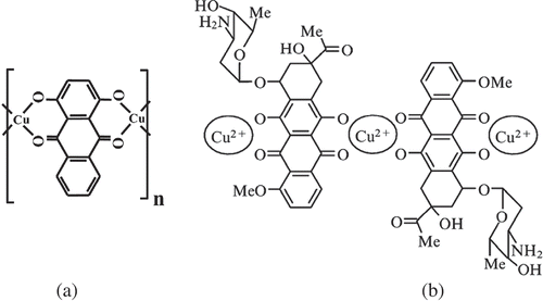 Figure 5. Examples of chelate complexes formed between anthraquinone (a) or anthracycline (b) molecules and Cu2+ ions possessing planar structures.