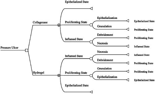 Figure 3. Markov tree diagram comparing collagenase ointment to hydrogel autolysis for wound healing.
