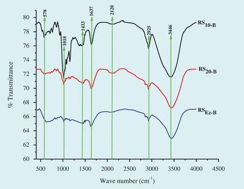 Figure 10. FT-IR spectra of RS obtained after hydrothermal (RS10-B = 10%, –20°C and RS20-B = 20%, –20°C) and enzyme debranched (RSEz-B = 24 h, –20°C).