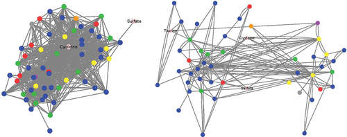 Figure 4. Co-occurrence networks of taxa and substrate-specific H2S production. Undirected SparCC co-occurrence network of bacterial phyla and H2S production from substrates. Nodes reflect genera colored by phylum: blue – Firmicutes, green – Bacteroidetes, red – Proteobacteria, yellow – Actinobacteria, purple – Verrucomicrobia, orange – Euryarcheota, gray – unclassified at phylum or H2S substrate. A perfuse force directed layout of SparCC r values (cutoff 0.4) is shown.