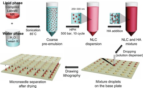 Figure 1 Schematic illustration for the NLC-MN fabrication procedure.Abbreviations: HA, hyaluronic acid; HPH, high-pressure homogenization; NLC-MN, nanostructured-lipid-carrier-loaded microneedle; NR, nile red; NLC, nanostructured lipid carrier.