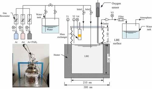 Figure 1. A schematic flow diagram of the LBE static experimental apparatus (lower left corner is the experimental tank).