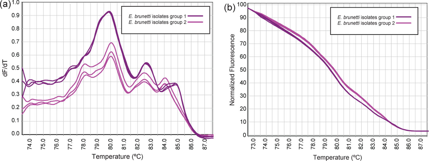 Figure 3.  Replicates of (a) conventional and (b) normalized HRM melt curves of PCR products of the ITS-2 gene from E. brunetti isolates.