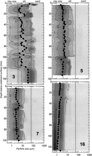 FIGURE 8. Particle size distributions (after CitationBeierle et al., 2002) in four Ekman samples of surficial sediments from Meziadin Lake. Values are in percent in 0.25 phi intervals; isopleth interval is 1%. Also shown is the geometric mean grain size (dots). For locations see Figure 2