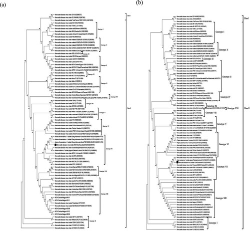 Figure 1. Phylogenetic analysis of NDV/Owl isolate based on F gene nucleotide sequence (a), and tree based on whole genome nucleotide sequence (b).