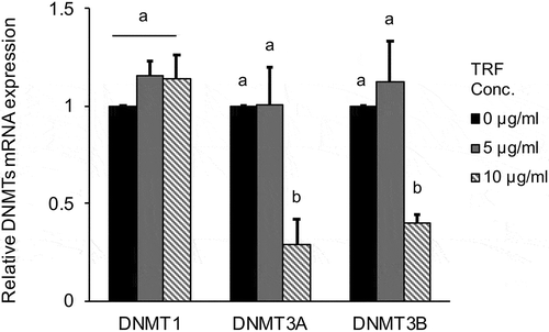 Figure 7. Effect of 0–10 µg/mL TRF treatment on relative DNMT mRNA expression in MG-63 cells after 24 h.DNMT expression was analyzed by real-time qRT-PCR and normalized to RPL32. Black bar exhibit untreated group, gray bar exhibit 5 μg/mL of TRF treated group and slant line bar exhibit 10 μg/mL of TRF treated group. Data are mean ± SD, n = 3. Bars with different letters among the treatment for each TRF dose differ significantly by Tukey-Kramer’s test (p < 0.05).