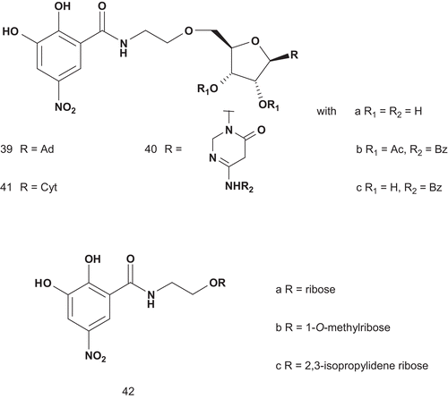 Scheme 26.  Multisubstrates for COMT (2).