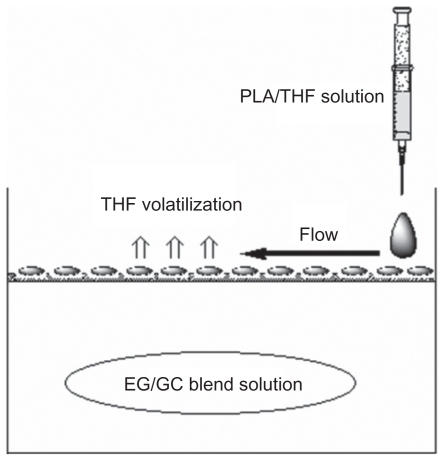 Figure 1 A schematic illustration of preparation of PLA scaffold with microporous structure.Abbreviations: EG, ethylene glycol; GC, THF, tetrahydrofuran; PLA, poly (d,l-lactic acid).