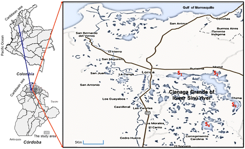 Figure 1. The study areas and sampling locations in the selected stations in Cienaga Grande of the lower Sinú River.